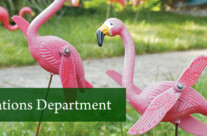 Violations Department