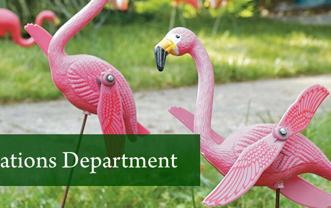 Violations Department