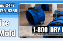 Preferred Vendors – Restoration: 1-800-DRY-ME-OUT