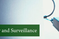 Banner 2